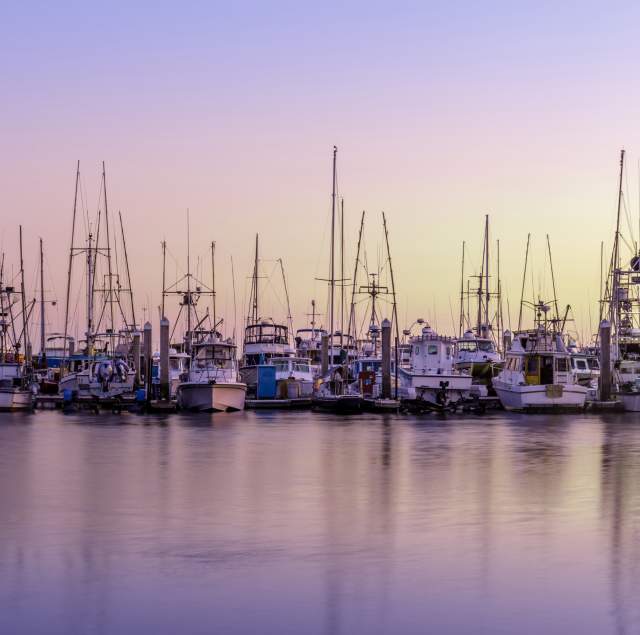 Discover Pillar Point Harbor: Coastal Eats, Craft Drinks & Hidden Gems