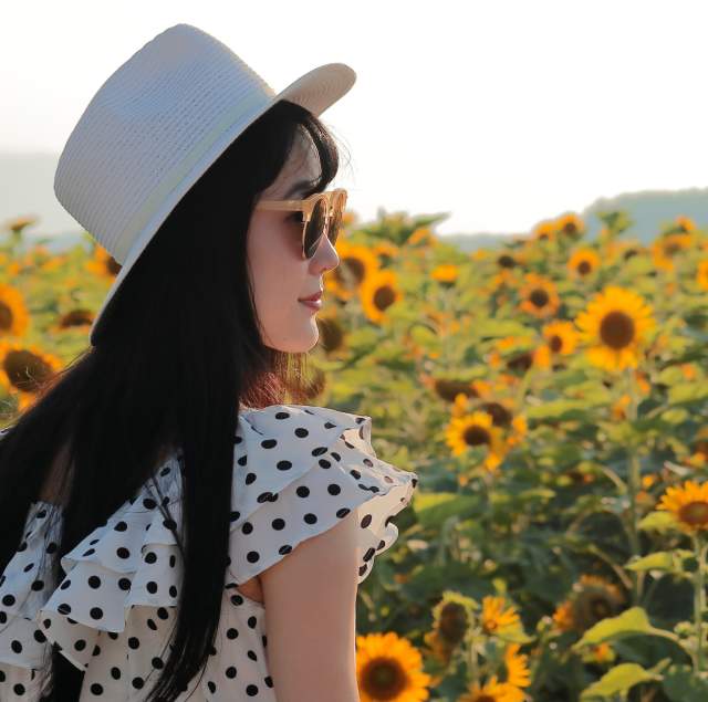 Woman admiring the sunflowers at a local farm