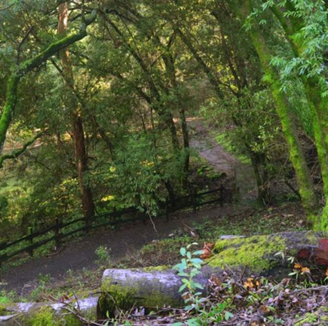 Wunderlich_Park_by_Edna_Takeda_Geller_SMALL