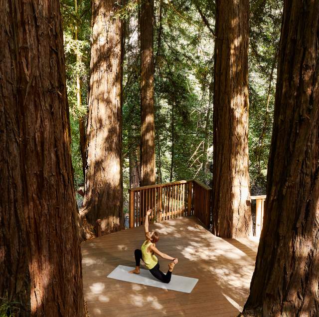 Discover Wellness Activities on The Peninsula: The Healthiest County in California