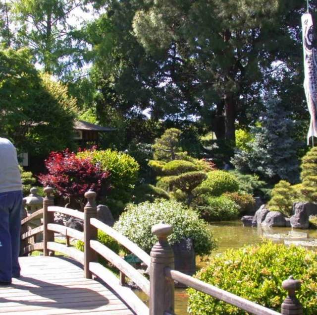 Central Park's Japanese Garden