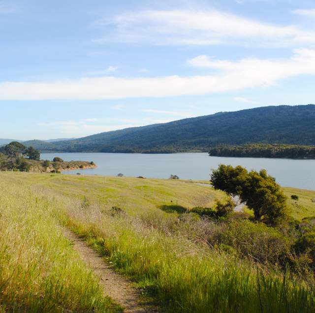 Crystal Springs Regional Trail