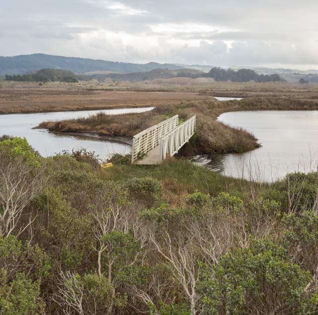 Pescadero Marsh Natural Preserve