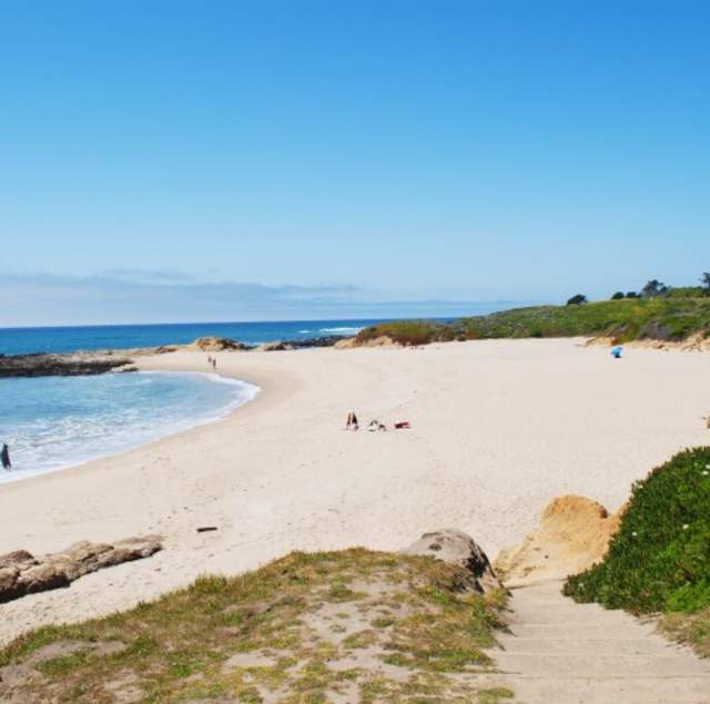 Pescadero State Beach