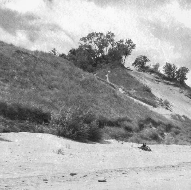 Black and white Indiana Dunes photo