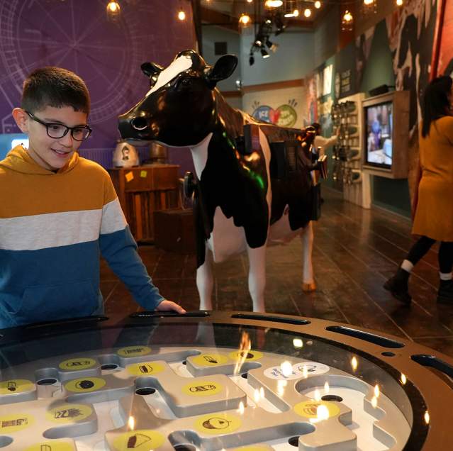 Family at Fair Oaks Farms