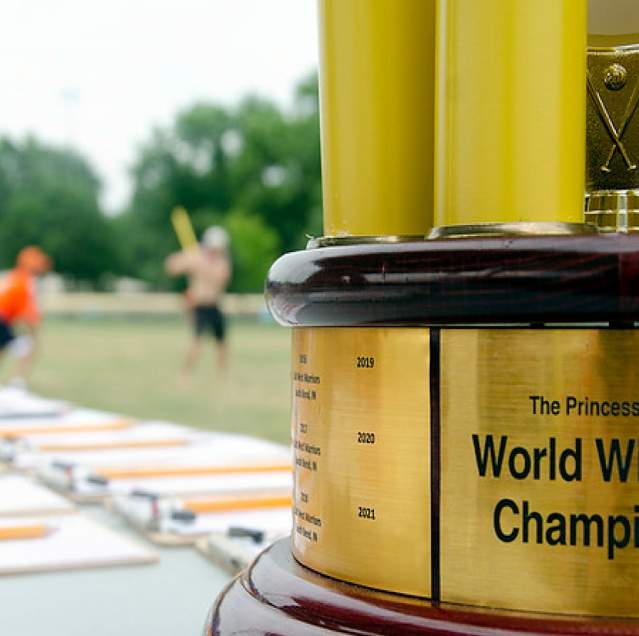 World Wiffle Ball header
