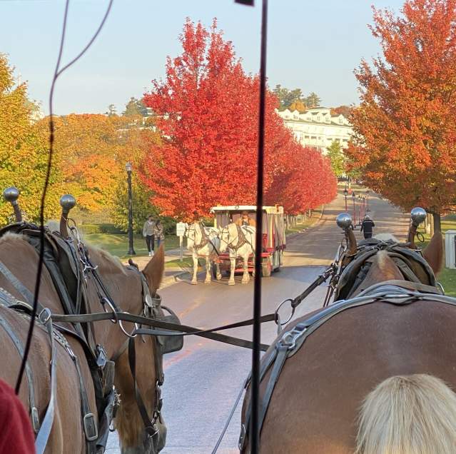 Mackinac Island Carriage Ride