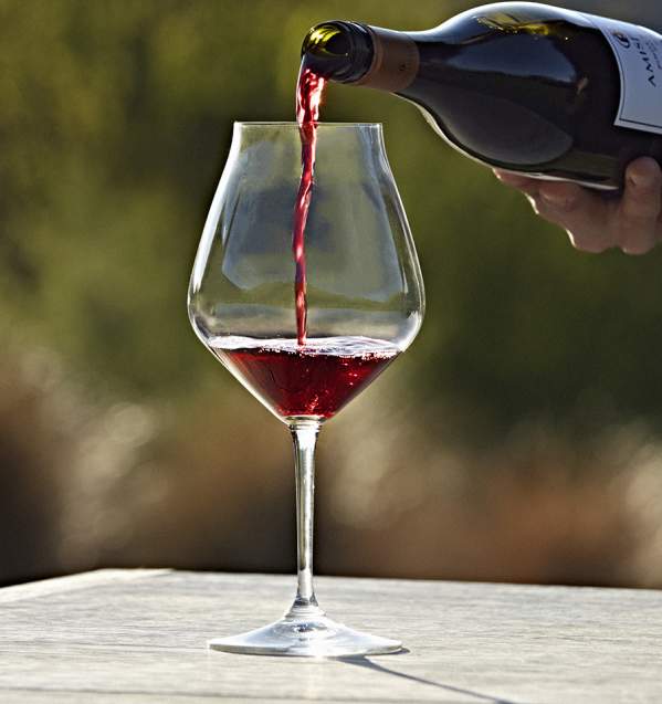Amisfield Lake Hayes Winery