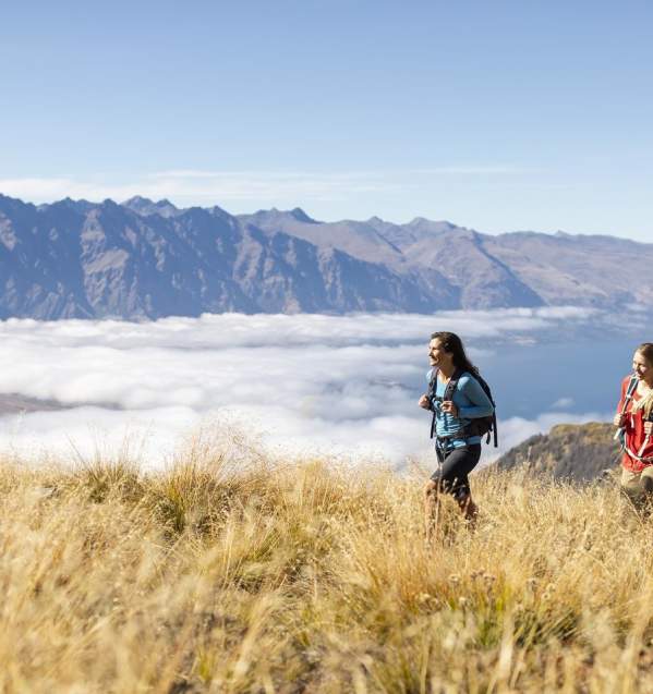 Ben Lomond Track