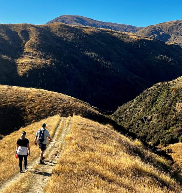 Sawpit Gully Trail