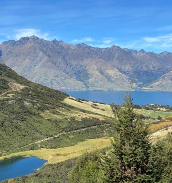 Mount Crichton Loop Track