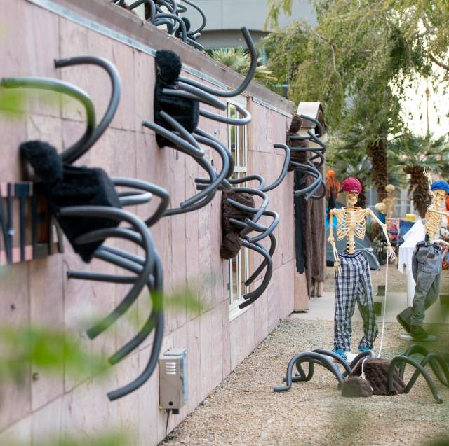 Halloween Events & Activities in Chandler, AZ