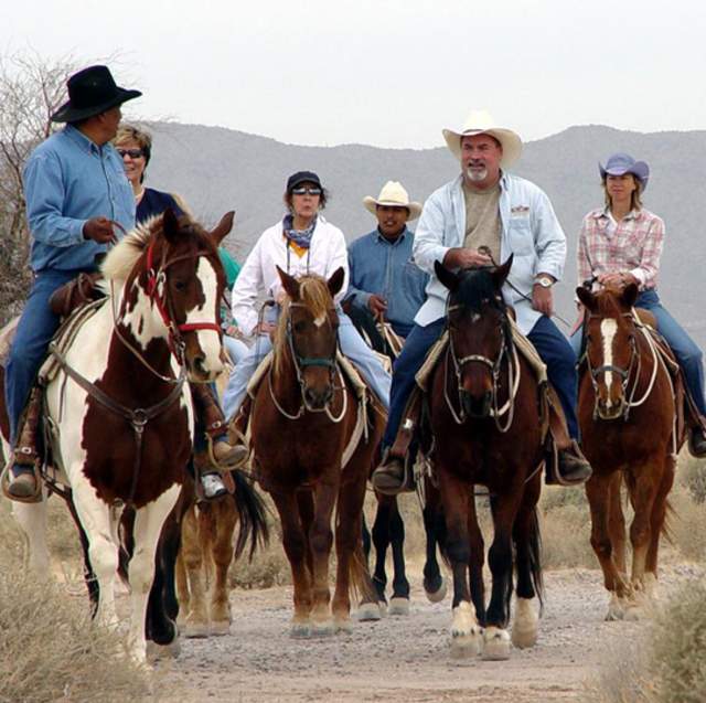 A Group Of People Horseback Riding in Chandler, AZ