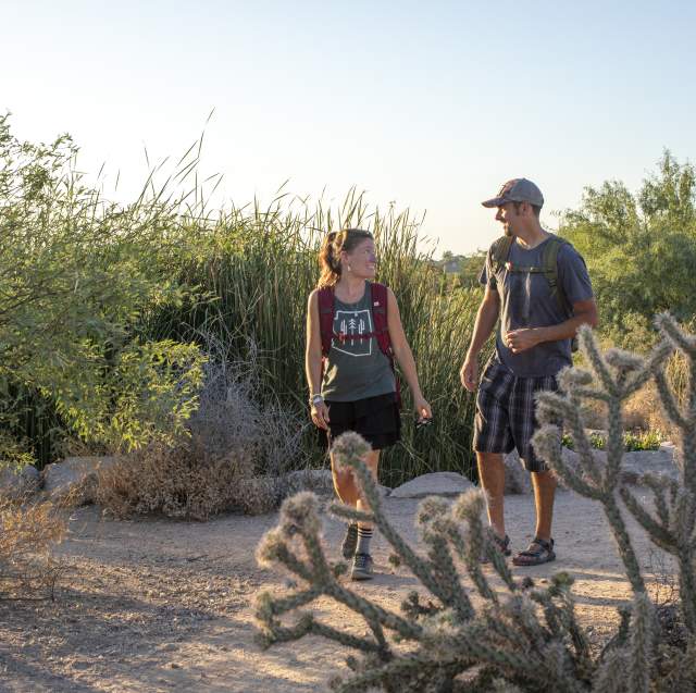 a couple hiking through the desert in Chandler, az
