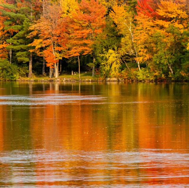 A Not-So-Hidden Gem: Rothschild, Wisconsin