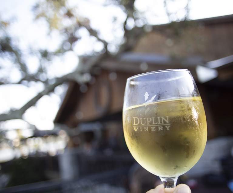 The Ultimate Duplin Winery Experience in North Myrtle Beach
