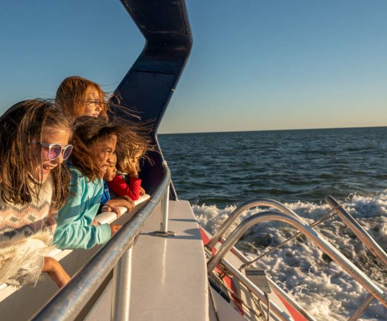 A family leaning on the rail of a boat, looking at dolphins