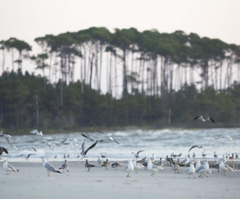 Best North Myrtle Beach Hiking Trails