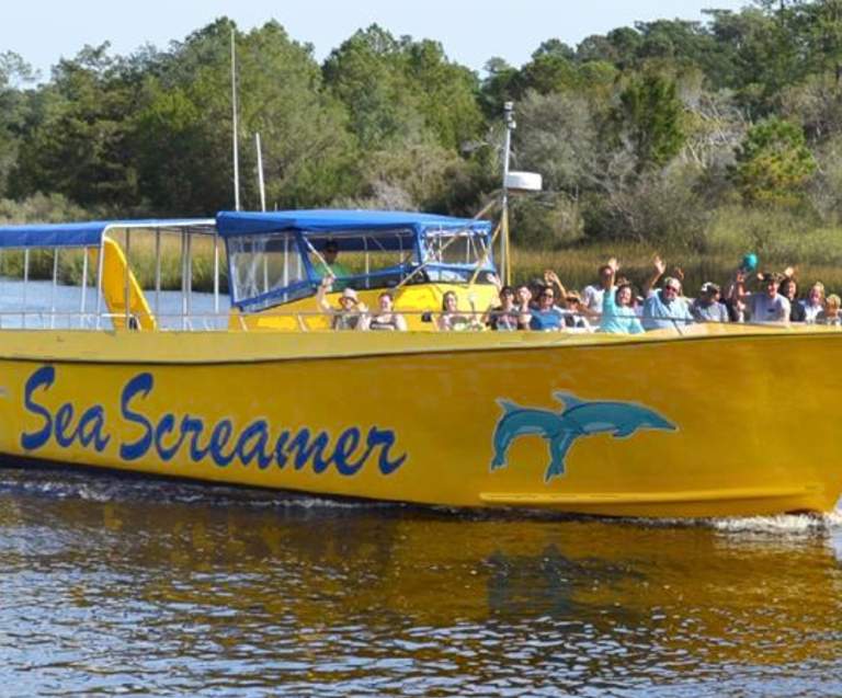 A Dolphin Watching Guide to North Myrtle Beach