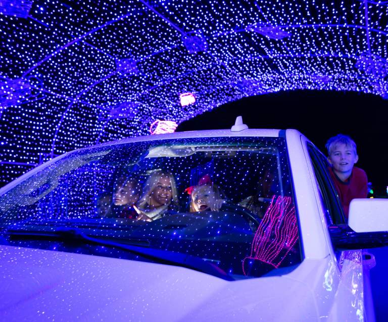 Winter Things to Do in North Myrtle Beach