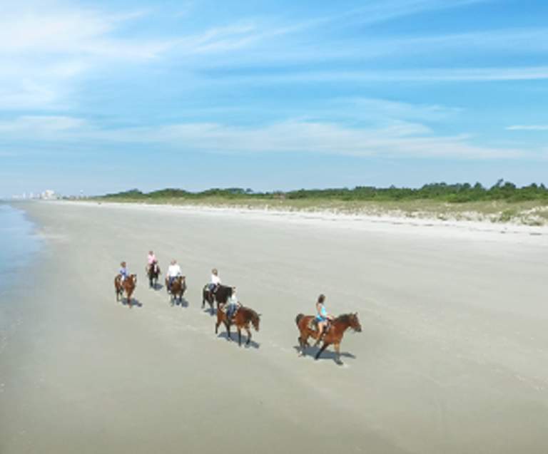 Connect With Mother Nature in North Myrtle Beach