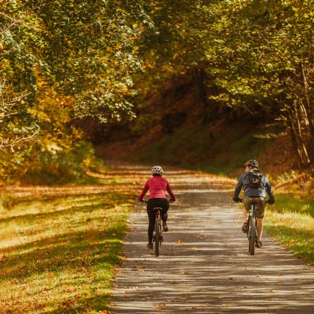 A couple ride bike on a gravel path surrounded trees with fall colored leaves of yellows, oranges, and reds.