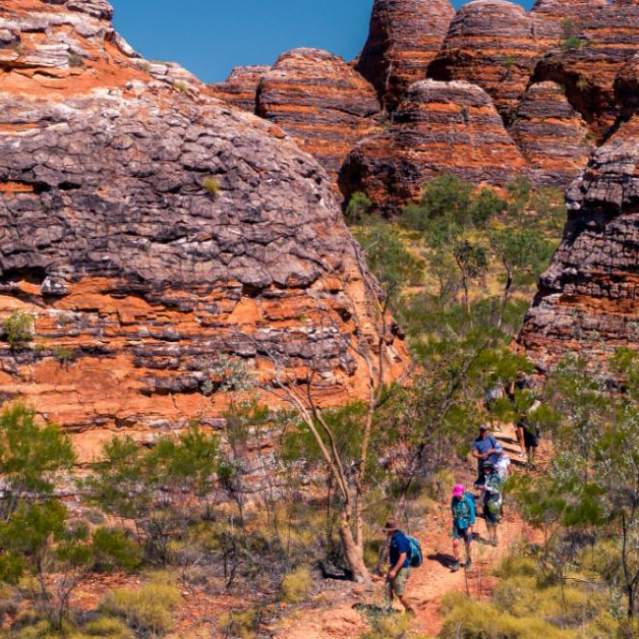 Discover more in the Bungles