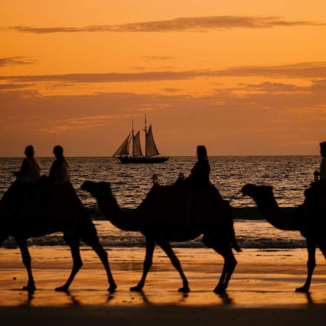Camels silhouetted by the sunset on Cable Beach, Broome.