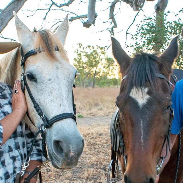 Denise's Road Trip Diary