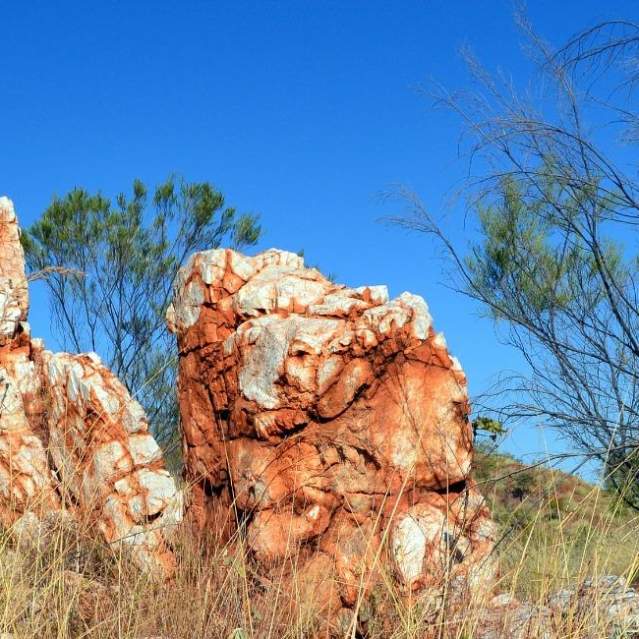 5 reasons to say Howdy to Halls Creek!
