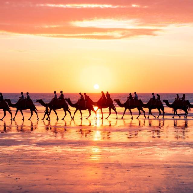 Cable Beach Camels - CJ Maddock