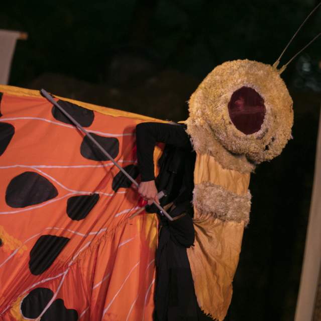 Events Chapel Hill and Orange County Visitors Bureau