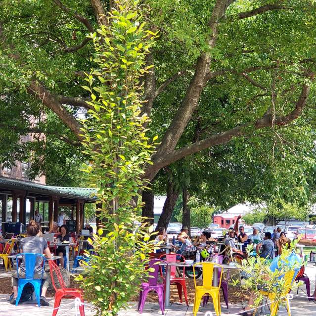 Weaver Street Market Patio - Carrboro