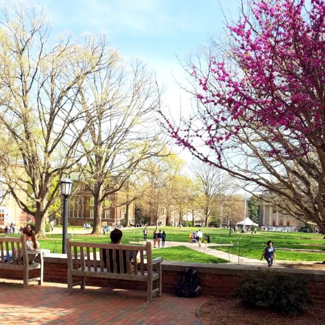 UNC Campus Spring time