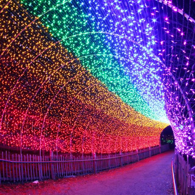 Colorful light tunnel