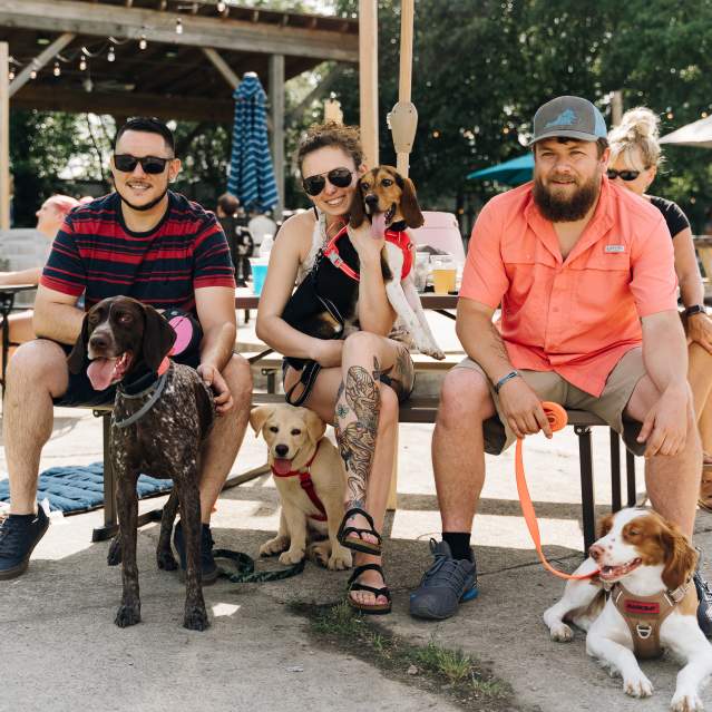 Three people with dogs and beer