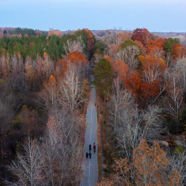 Ringgold Rail Trail