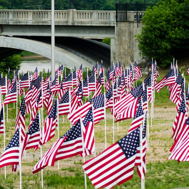American Flags