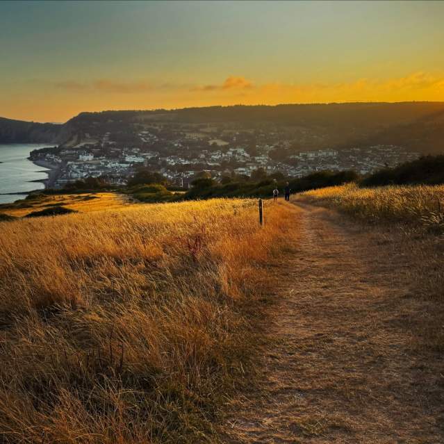 A sunset view over an East Devon coastal town, with a golden grassy path in the foreground where a few people are walking. The coastline curves towards the sea on the left, and white buildings sit nestled below gently rising hills, all glowing in warm orange evening light.