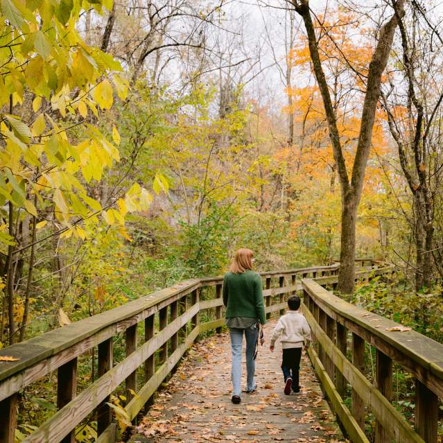 Hayden Run Falls Boardwalk Autumn