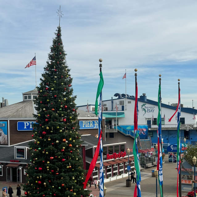 MerryTime at the Wharf