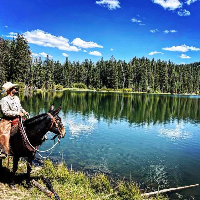Riding a mule alongside a lake on the Grand Mesa