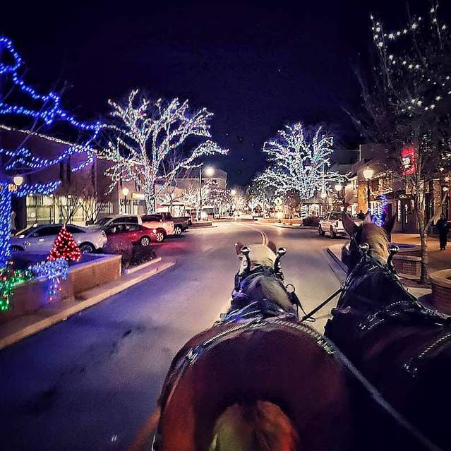 Horse Drawn Carriage Riding through Downtown with Lights