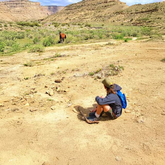 Boy Sitting Next to a Wild Horse