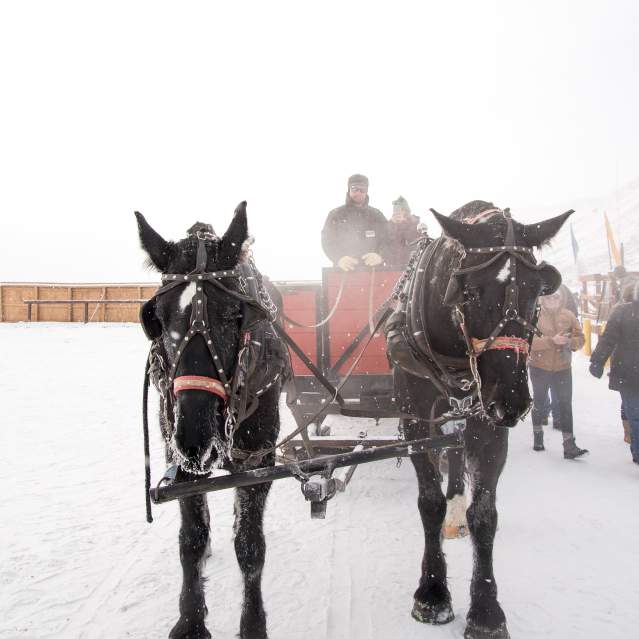 Sleigh Rides