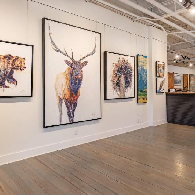 Gallery Wild Interior