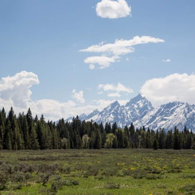 Grand Tetons