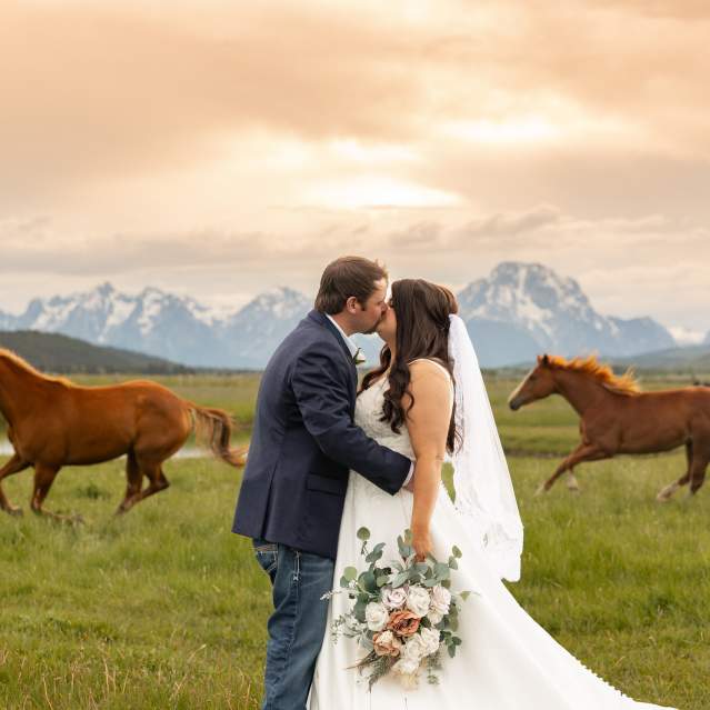 JCM Horse Wedding