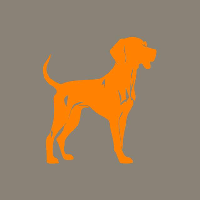 Icon of Smokey